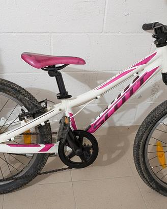 Bici Bambina Bambino Scott Scale Junior 20 pil