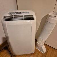 Condizionatore portatile Pinguino 