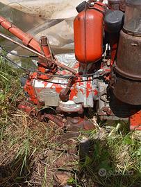 motozappa ruggerini RD80