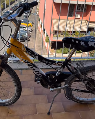 Bicicletta con cerchi da 20