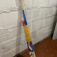 Aquilone acrobatico