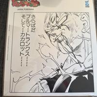 Shikishi Majin Vegeta Dragonball Edizione Limitata