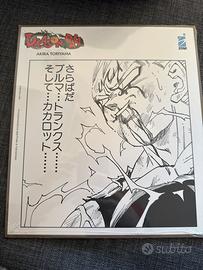 Shikishi Majin Vegeta Dragonball Edizione Limitata