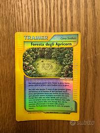 Foresta degli apricorn 118/147 holo aquapolis ita