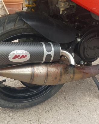 Marmitta Leovince RR Piaggio
