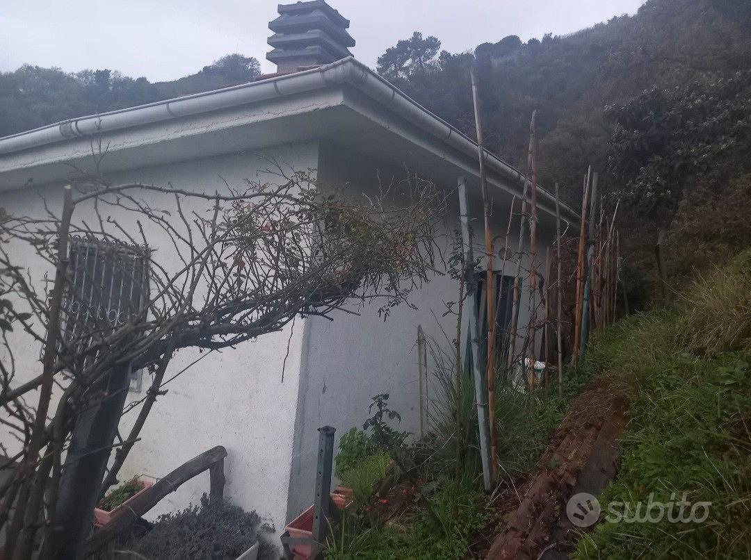 casa vigneto - Vista 5