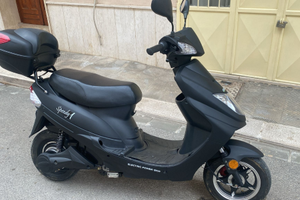 Speedy 1 2025 Electricycle 1200w