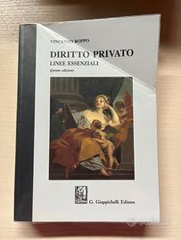 Diritto Privato. Linee Essenziali