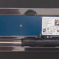 Memoria SSD 256 Gb