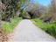 Immagine 3
