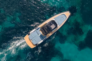 Noah 36