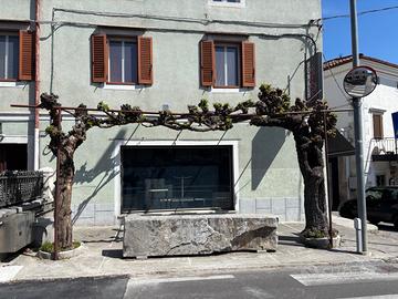 Locale commerciale con corte esterna e cantina