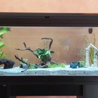 ACQUARIO PESCI  100 LT