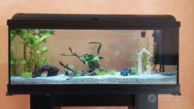 ACQUARIO PESCI  100 LT