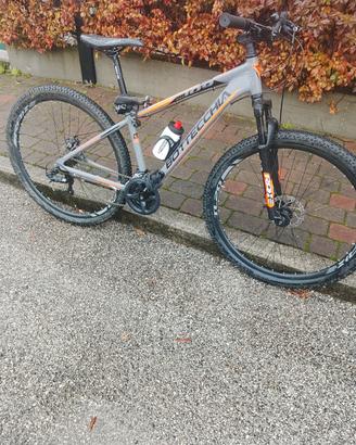 bici bottecchia alluminio 