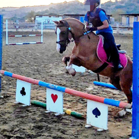 Super pony