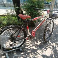 wheelie bike lee cougan 26