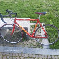 Bicicletta Bianchi rossa racing team