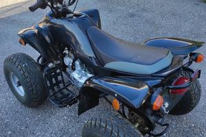 Quad 110 NON TARGATO