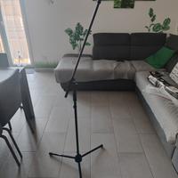 Asta per microfono