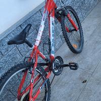 Bicicletta Bianchi Ragazzo Mountain Bike