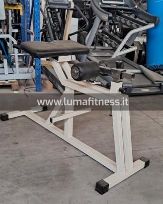 Panca Lombare Usato Technogym