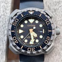 Citizen promaster