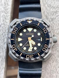 Citizen promaster