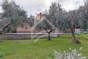 Terreno edificabile D1 - RIF.23798