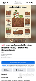 🪱 Lombrico Rosso Californiano (Eisenia Fetida) -