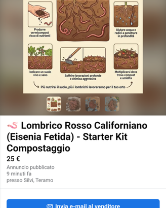 🪱 Lombrico Rosso Californiano (Eisenia Fetida) -