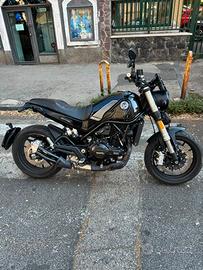 benelli leoncino 500 stradale 2023