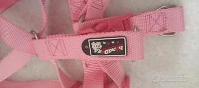 Pettorina cane piccola taglia 