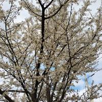 Vendita casa su due piani