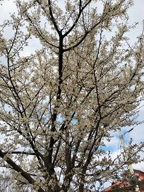 Vendita casa su due piani