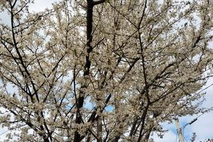 Vendita casa su due piani