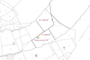 Terreno agricolo collinare, anche per asservimento