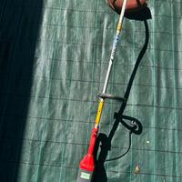 Tagliabordi elettrico Efco 8100