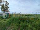 terreno-agricolo-ugento-43petrellavcg-