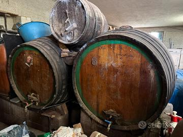 Botti in legno 1000 litri