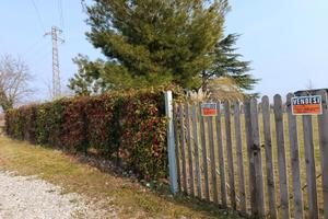Oasi collinare con vista e rifugio storico