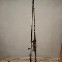 canna da pesca siluro 2 pezzi berkley