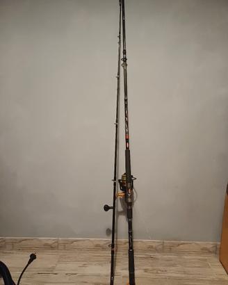 canna da pesca siluro 2 pezzi berkley