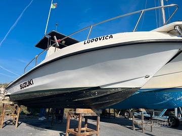 Triakys 21 con Suzuki 150 DF