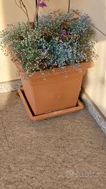 Vaso quadrato in plastica
