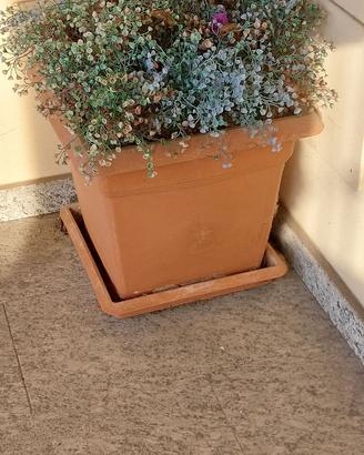 Vaso quadrato in plastica