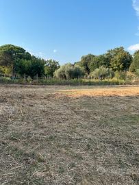 Vendita Terreno - Formello (RM)