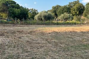 Vendita Terreno - Formello (RM)