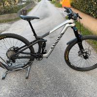 Canyon strive tg S