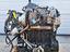 Immagine 14